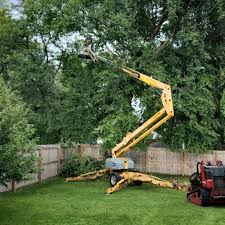 Lawn Edging in Fredonia, NY